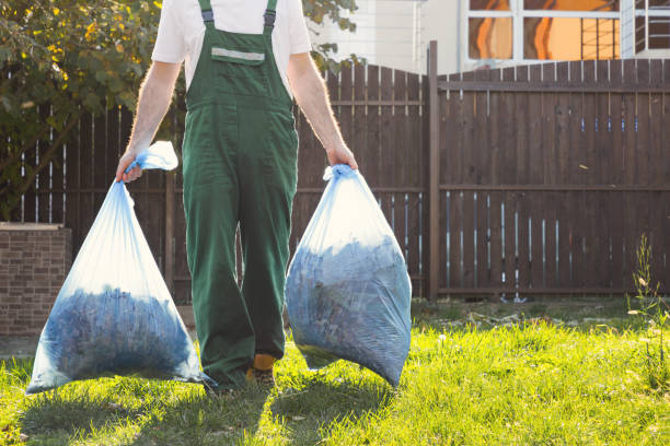 Yard Cleanup Services in Lakeshire, MO